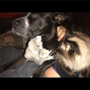 Meet your Posher, Haley